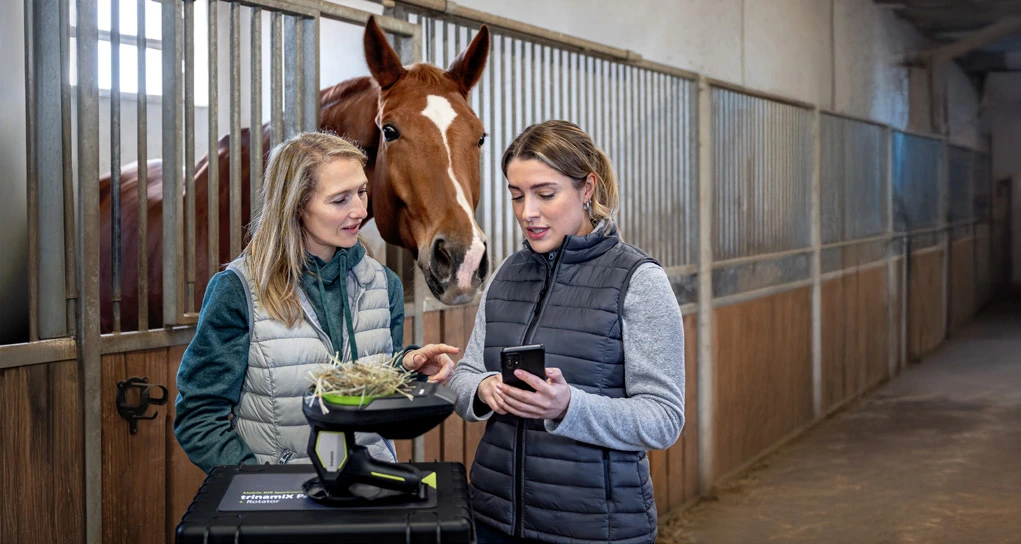 Heuanalyse im Stall BEST OF HORSE HAY