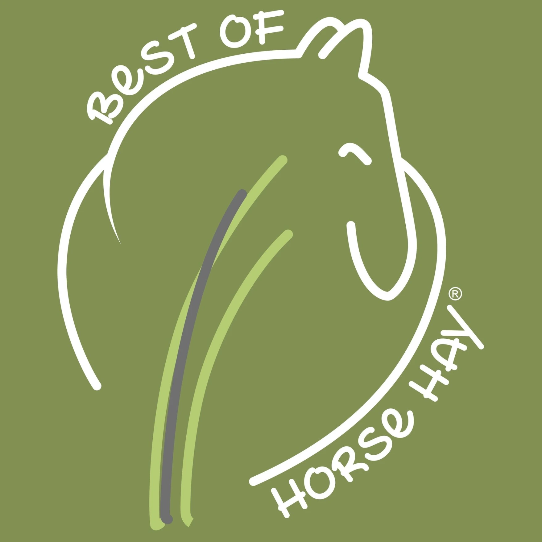 BEST OF HORSE HAY Raufutterprofi für Pferde