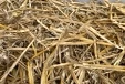 Strohqualität - BEST OF HORSE HAY - der Pferde-Raufutter-Profi