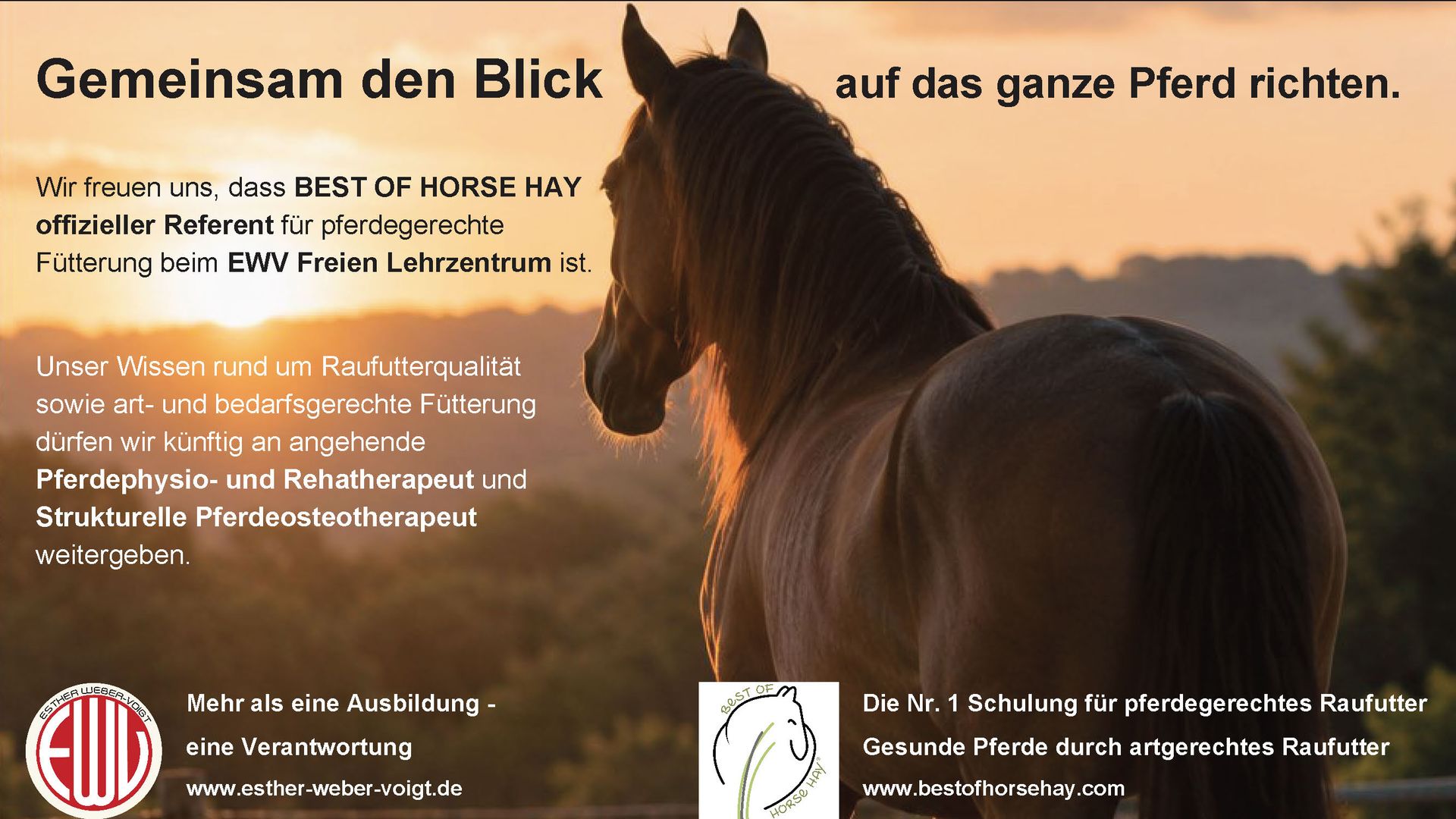 Offizieller Referent an der EWV für angehende Therapeuten - BEST OF HORSE HAY