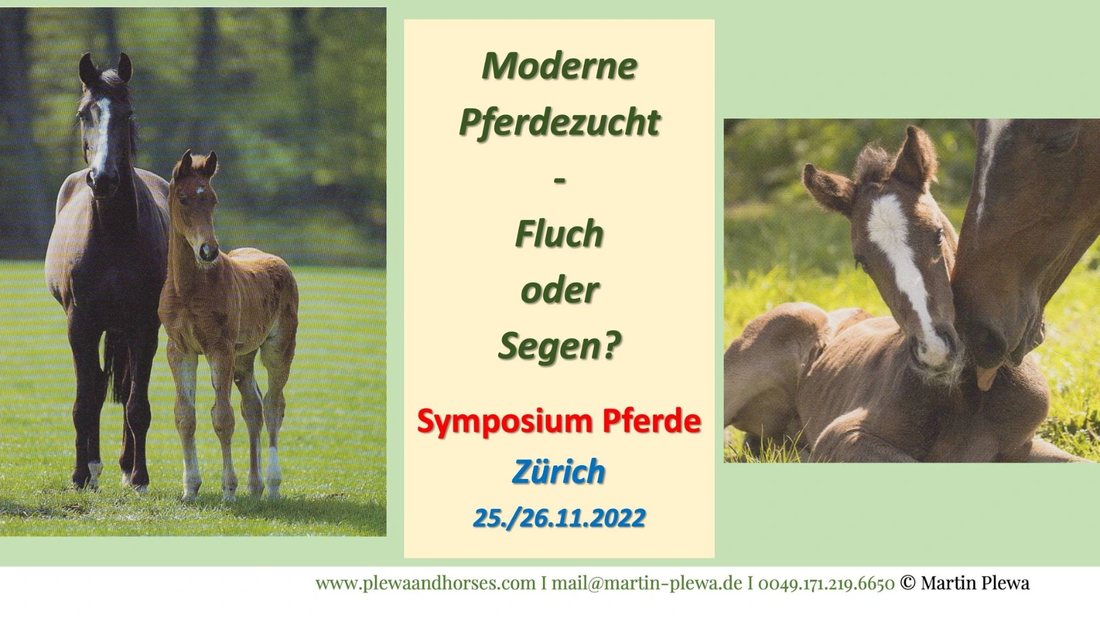 Moderne Pferdezucht - Podcast von Martin Plewa
