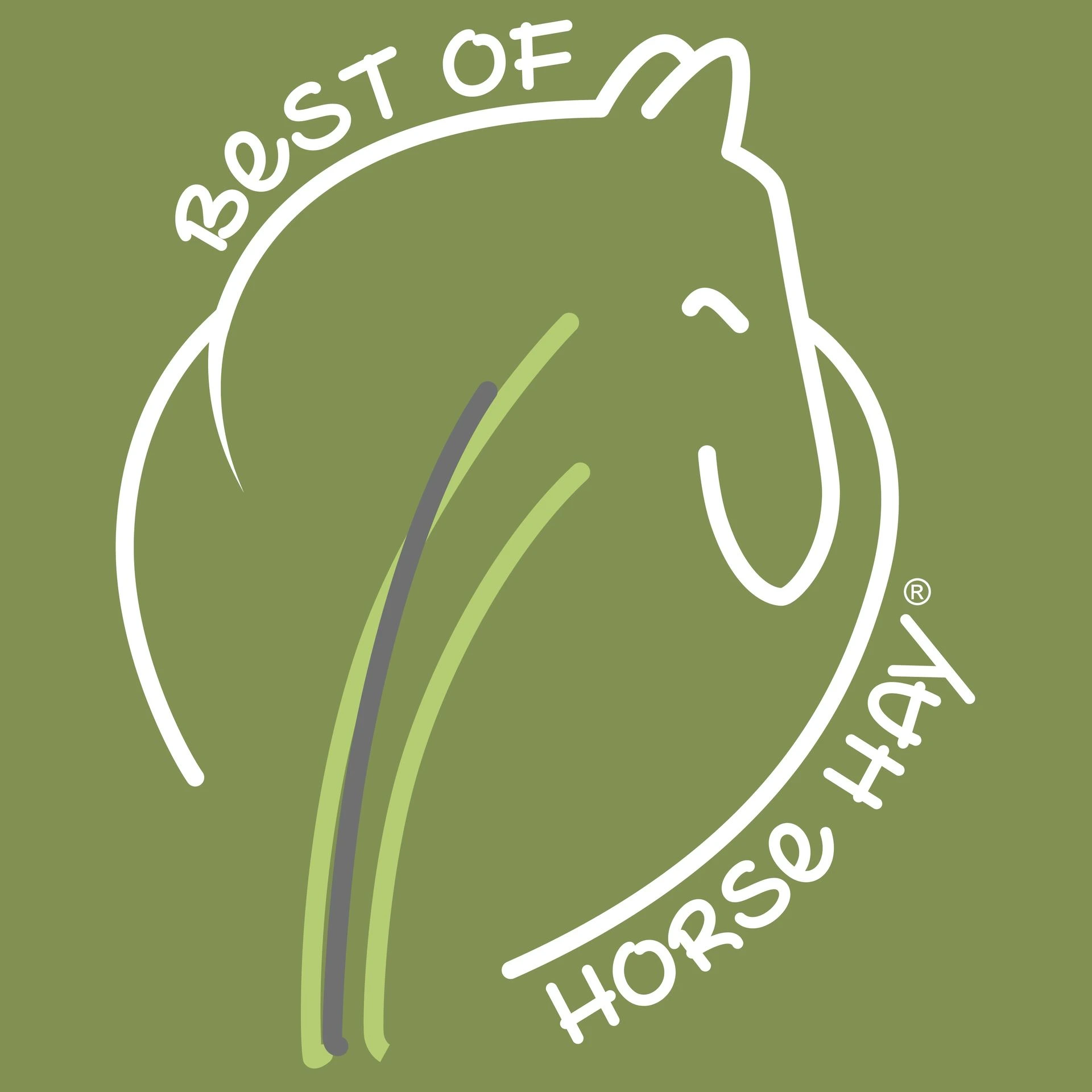 Pferdegesundheit die Nr. 1 Online-Academy BEST OF HORSE HAY