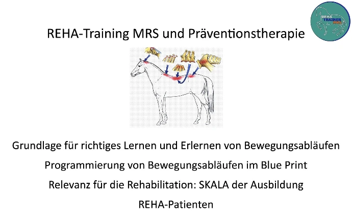 Pferde Rückenprobleme