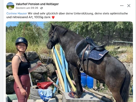 Pferde REHA nach Verletzung